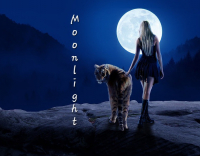 Moonlight
