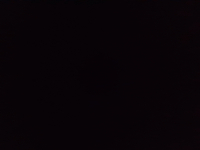 profil Eliza