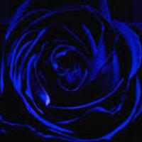 BLUESUNN