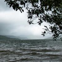 Monsun