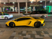 Alexander 001