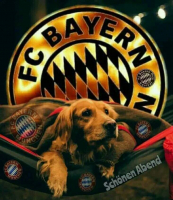 Werner 93m