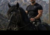 profil Aslan 
