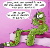 Fredi 01
