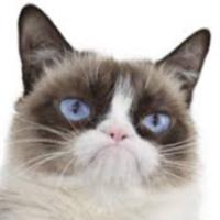 -grumpy 41-