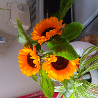 Sonnenblümchen1307