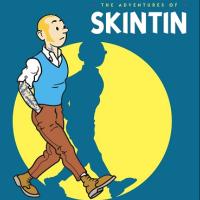 profil Skintin