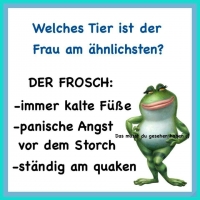 Kücken1234