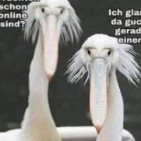 franziska40