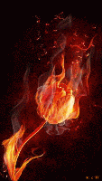 Fire Angel